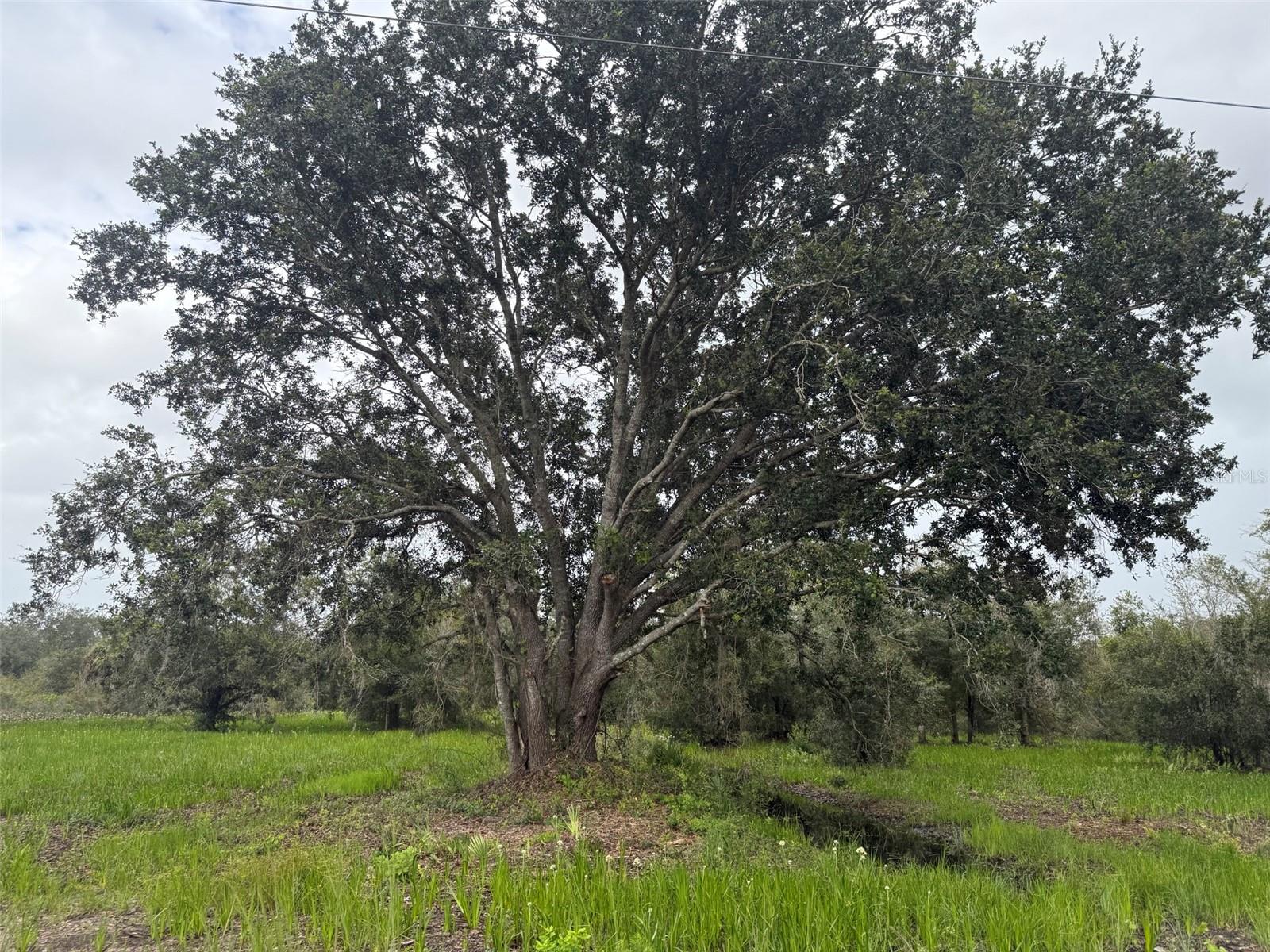 SOUTHERN COLONIZATION CO - Land