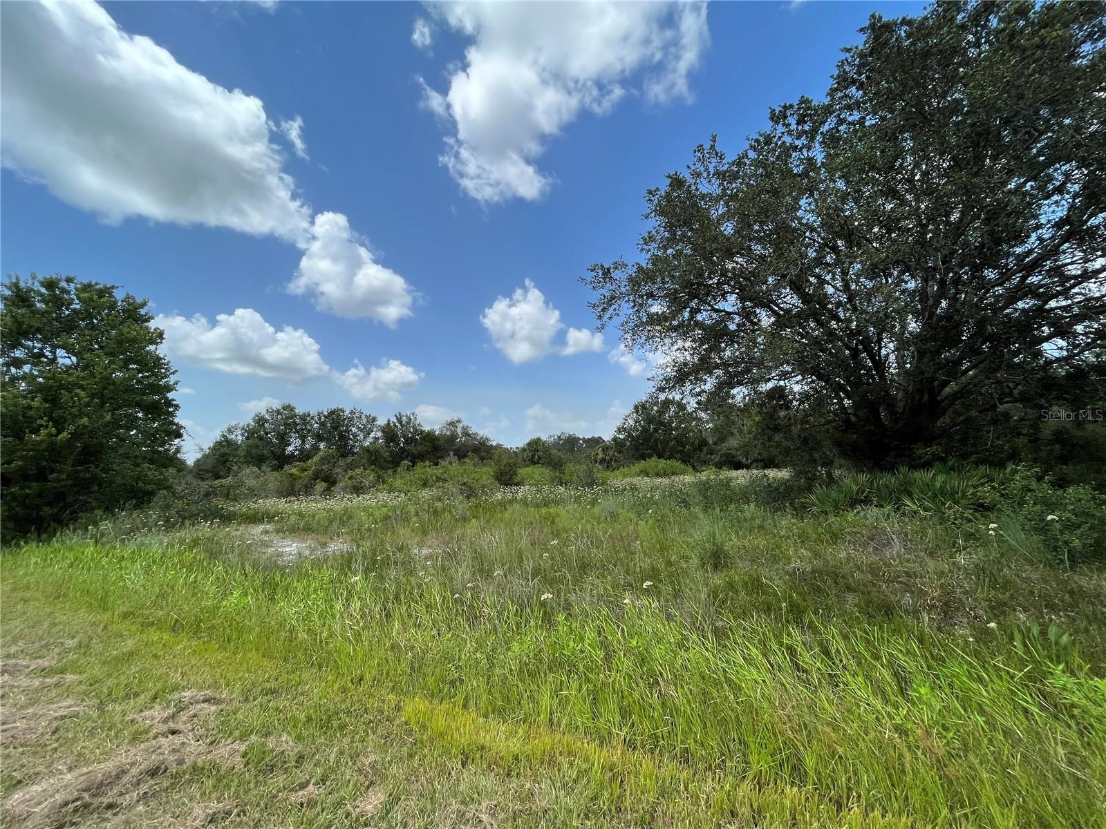 SOUTHERN COLONIZATION CO - Land