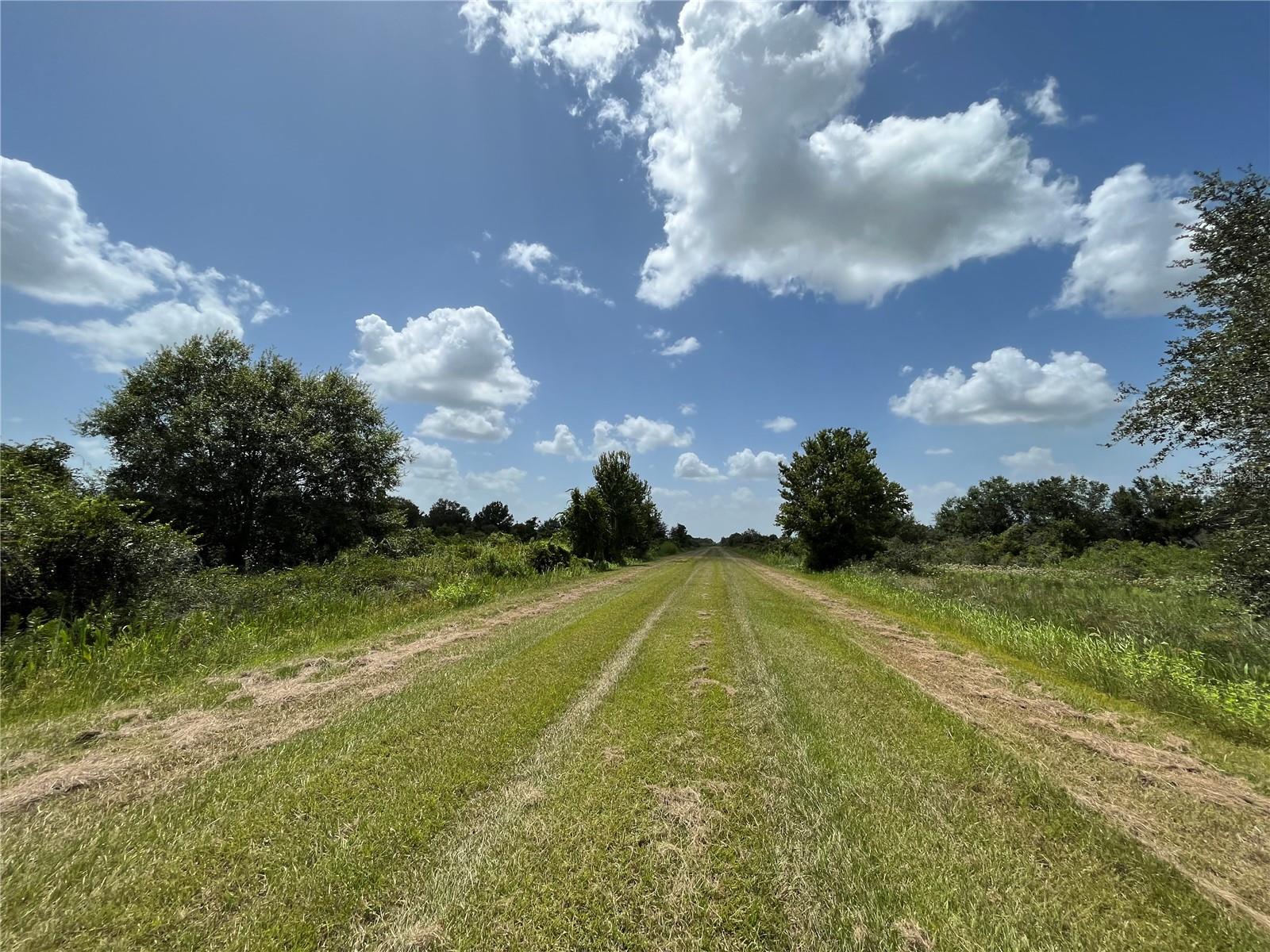 SOUTHERN COLONIZATION CO - Land