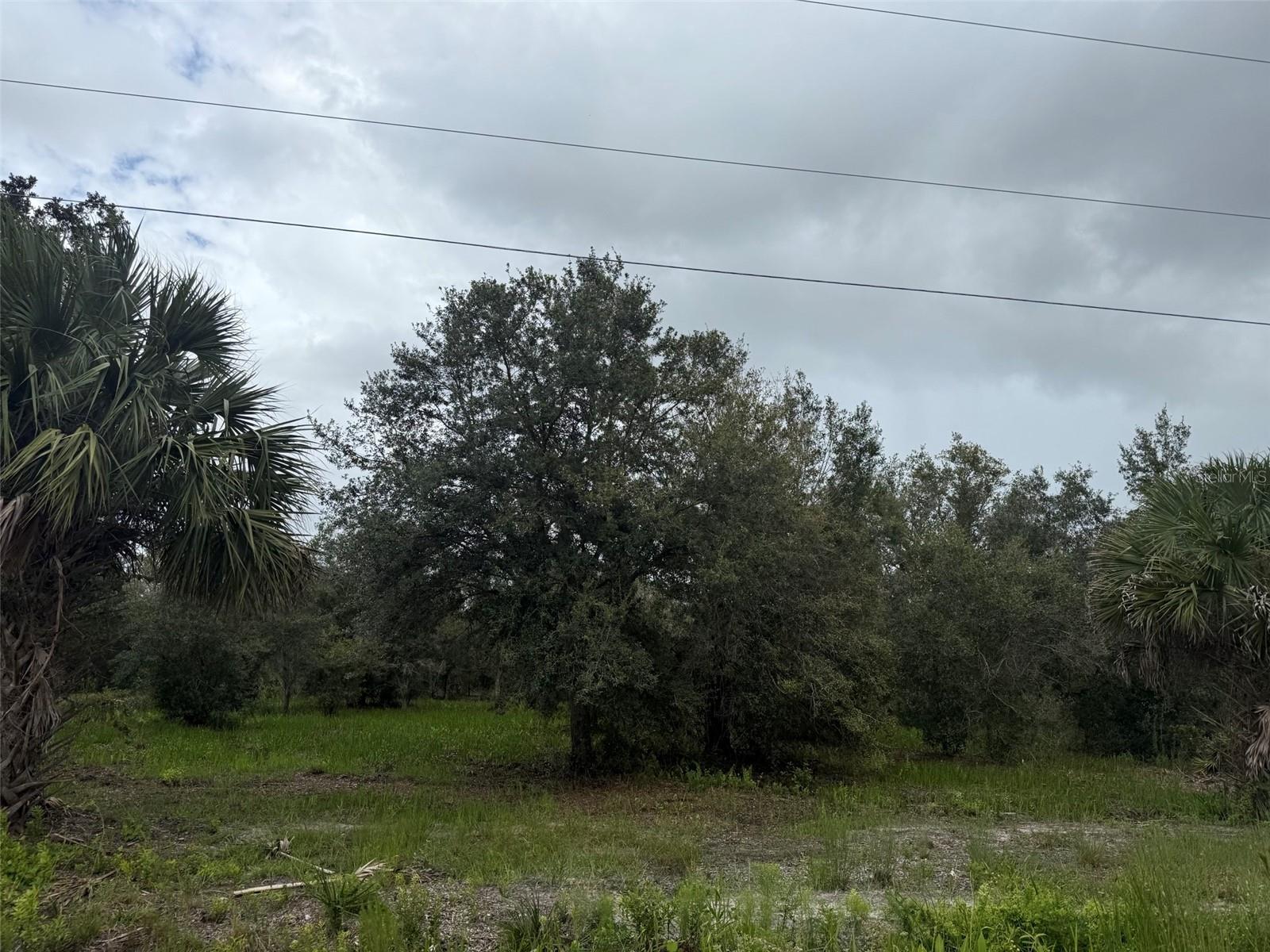 SOUTHERN COLONIZATION CO - Land