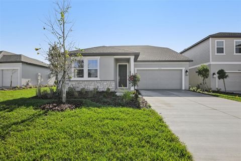 Photo of 10175 Hidden Hammock Loop, Parrish, FL 34219 (MLS # TB8439755)