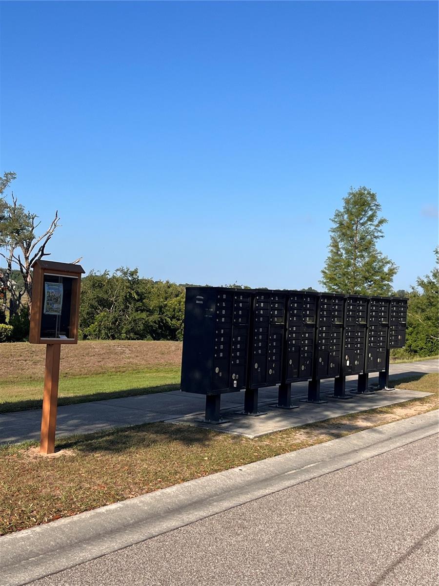 GROVELAND CYPRESS OAKS PHASE 1 - Residential