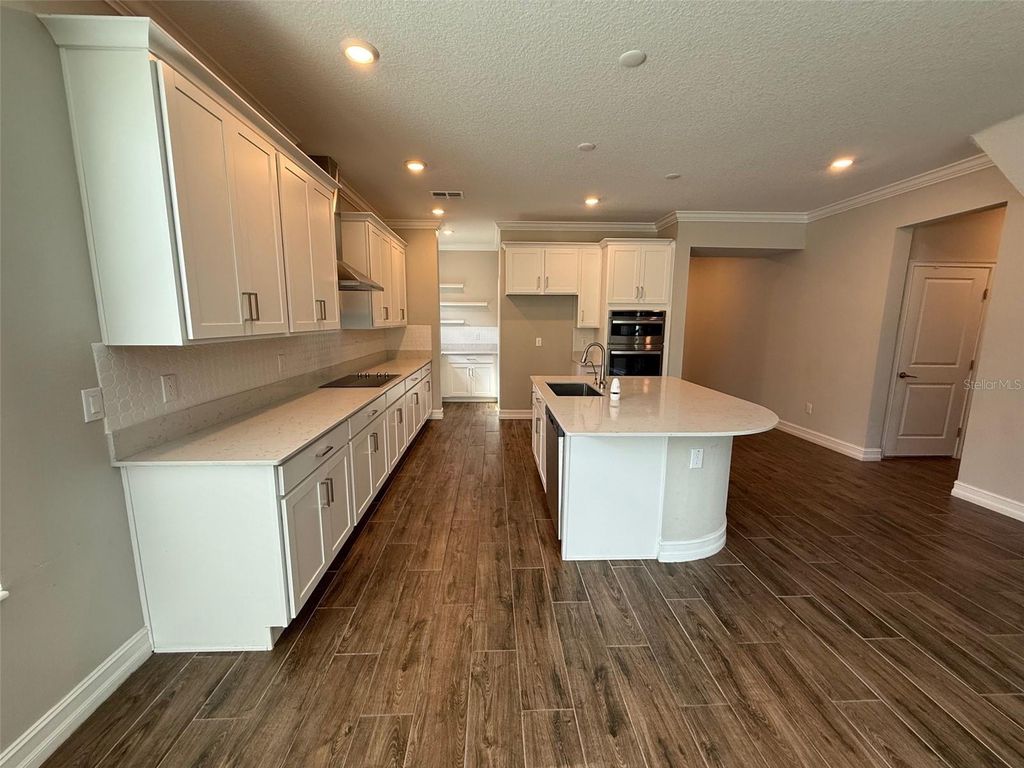 Photo of 9904 Wild Begonia Loop, Land O Lakes, FL 34637 (MLS # W7878360)