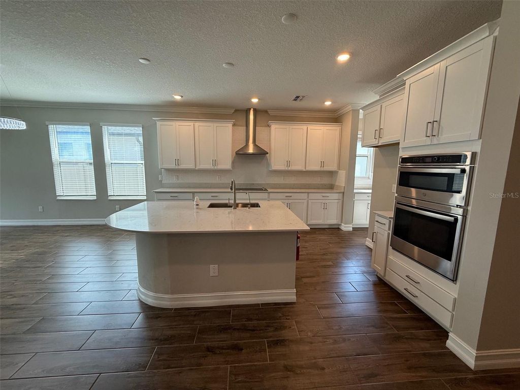 Photo of 9904 Wild Begonia Loop, Land O Lakes, FL 34637 (MLS # W7878360)
