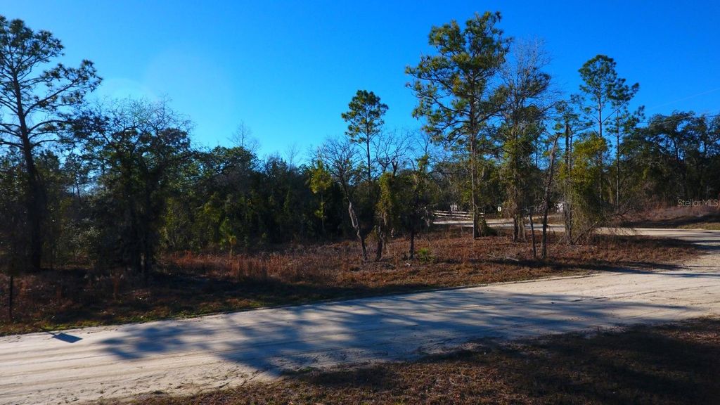 Photo of 2150 SE 137th Court, Morriston, FL 32668 (MLS # OM717145)