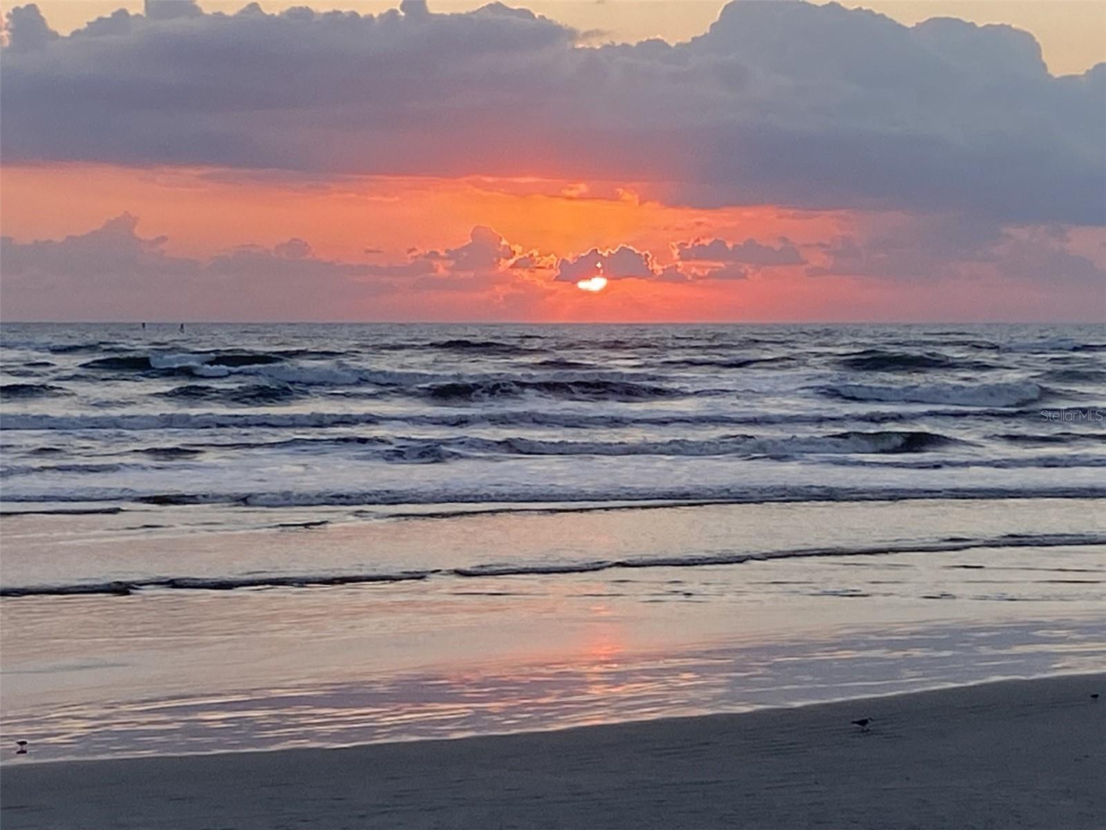 INLET AT NEW SMYRNA CONDO - Residential