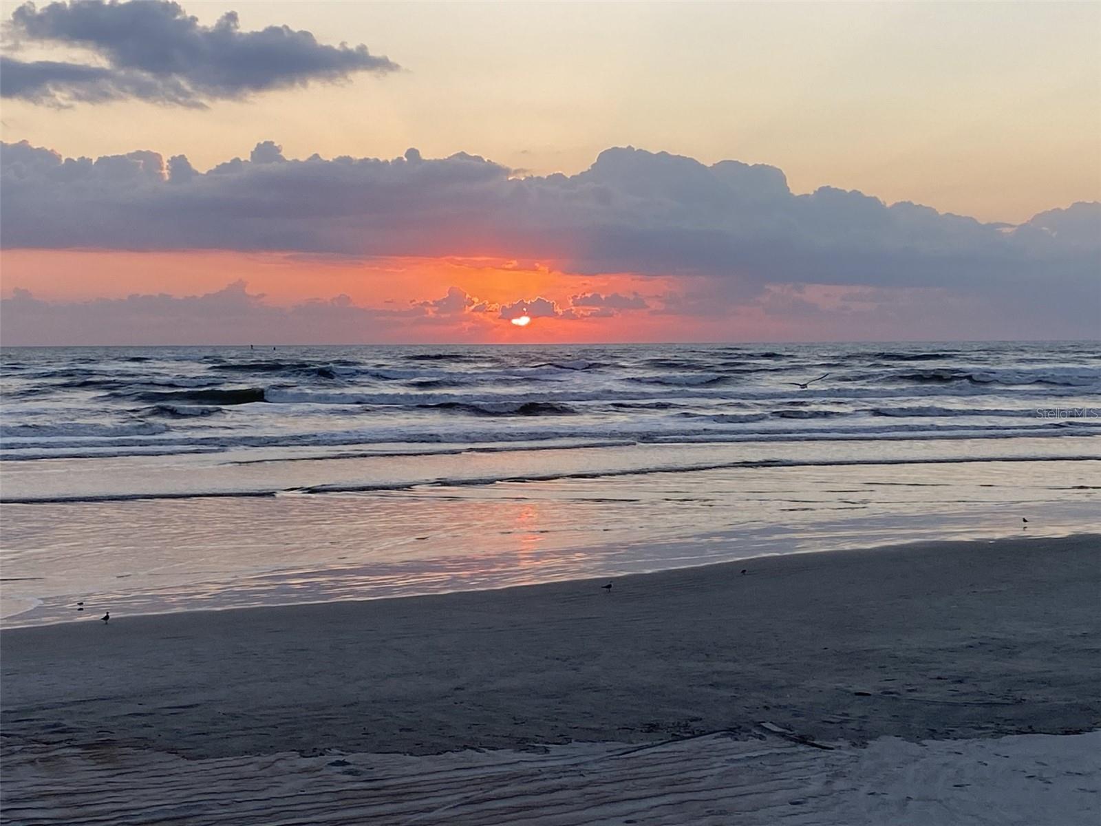 INLET AT NEW SMYRNA CONDO - Residential