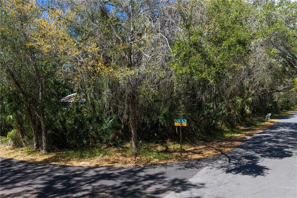 Photo of 8004 Bay Drive, Tampa, FL 33635 (MLS # TB8483794)