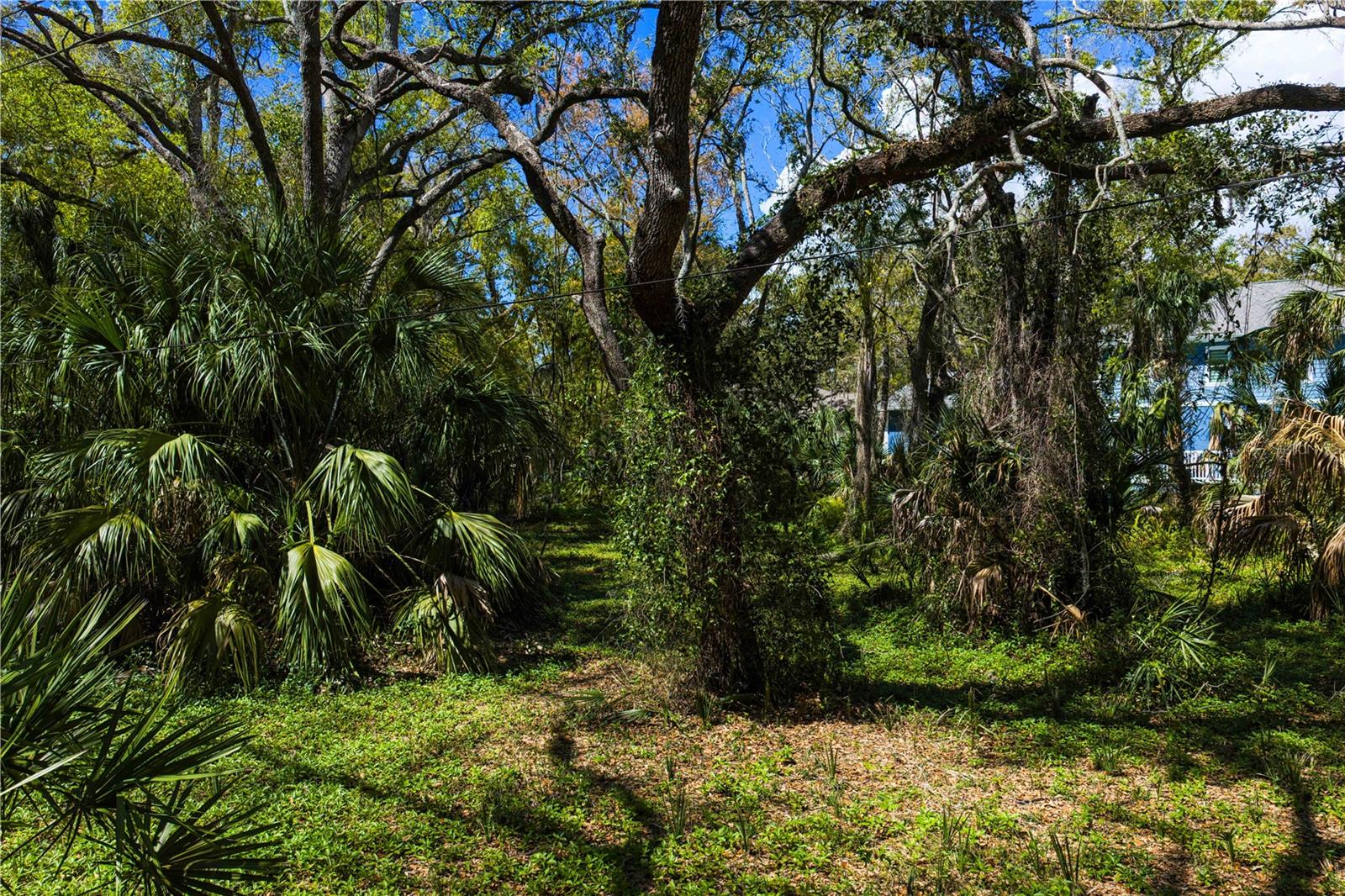 REOLDS FRM PLT 1 19 20 29 - Land