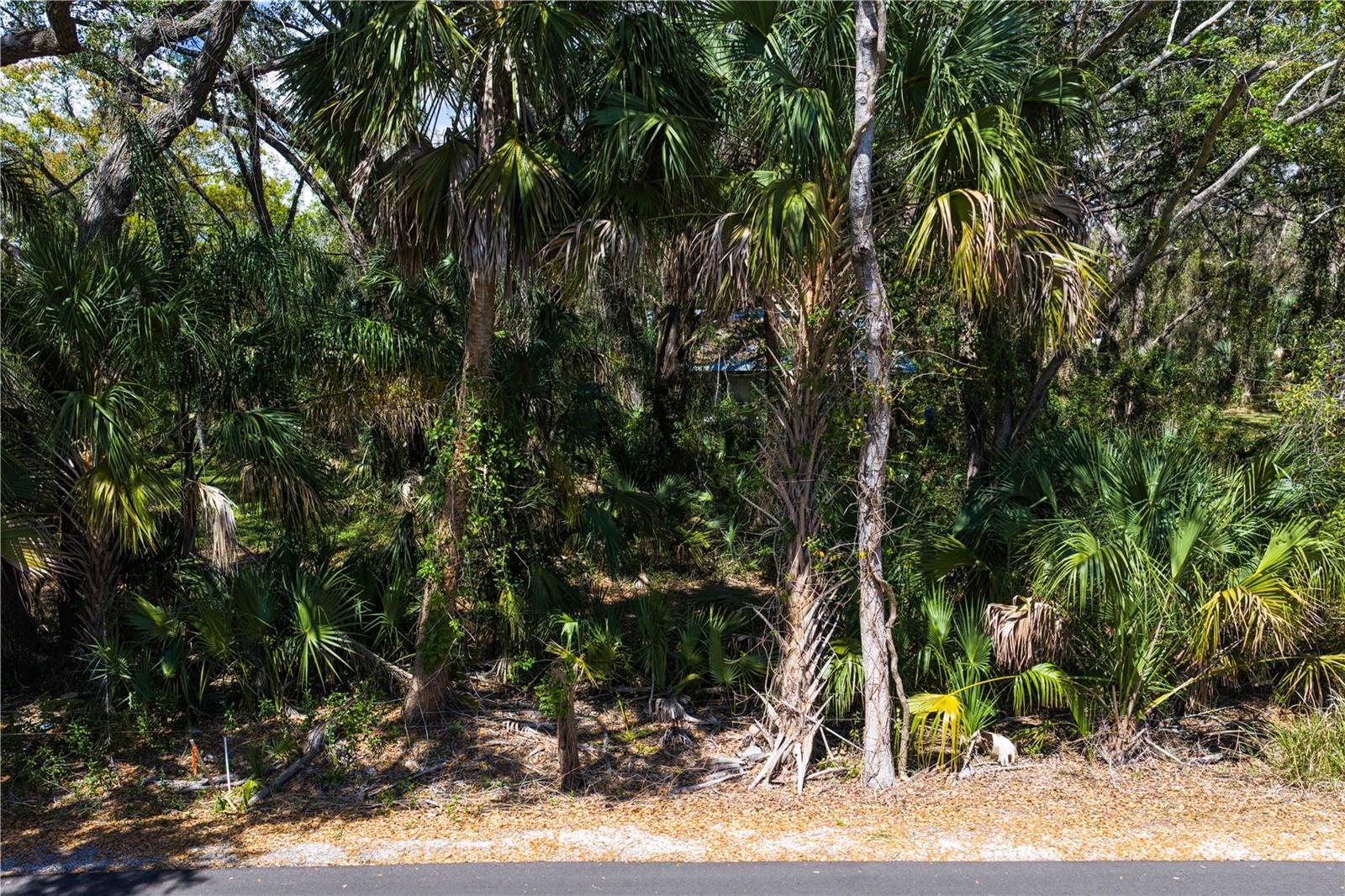 REOLDS FRM PLT 1 19 20 29 - Land