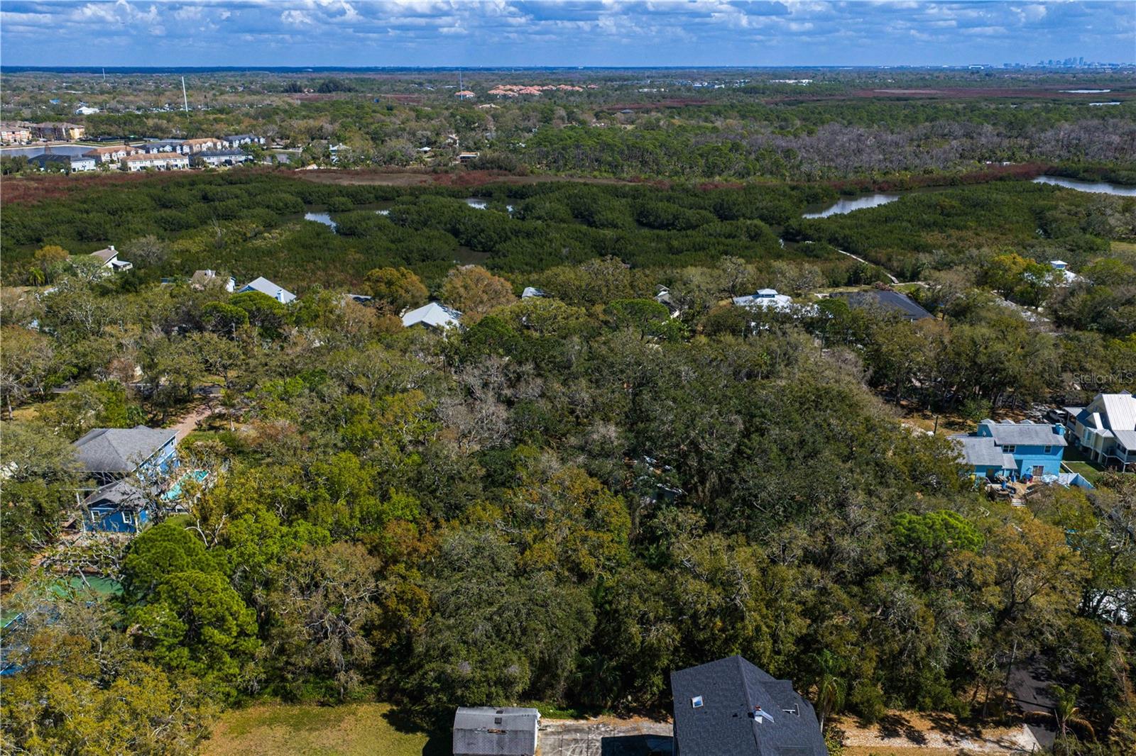 REOLDS FRM PLT 1 19 20 29 - Land