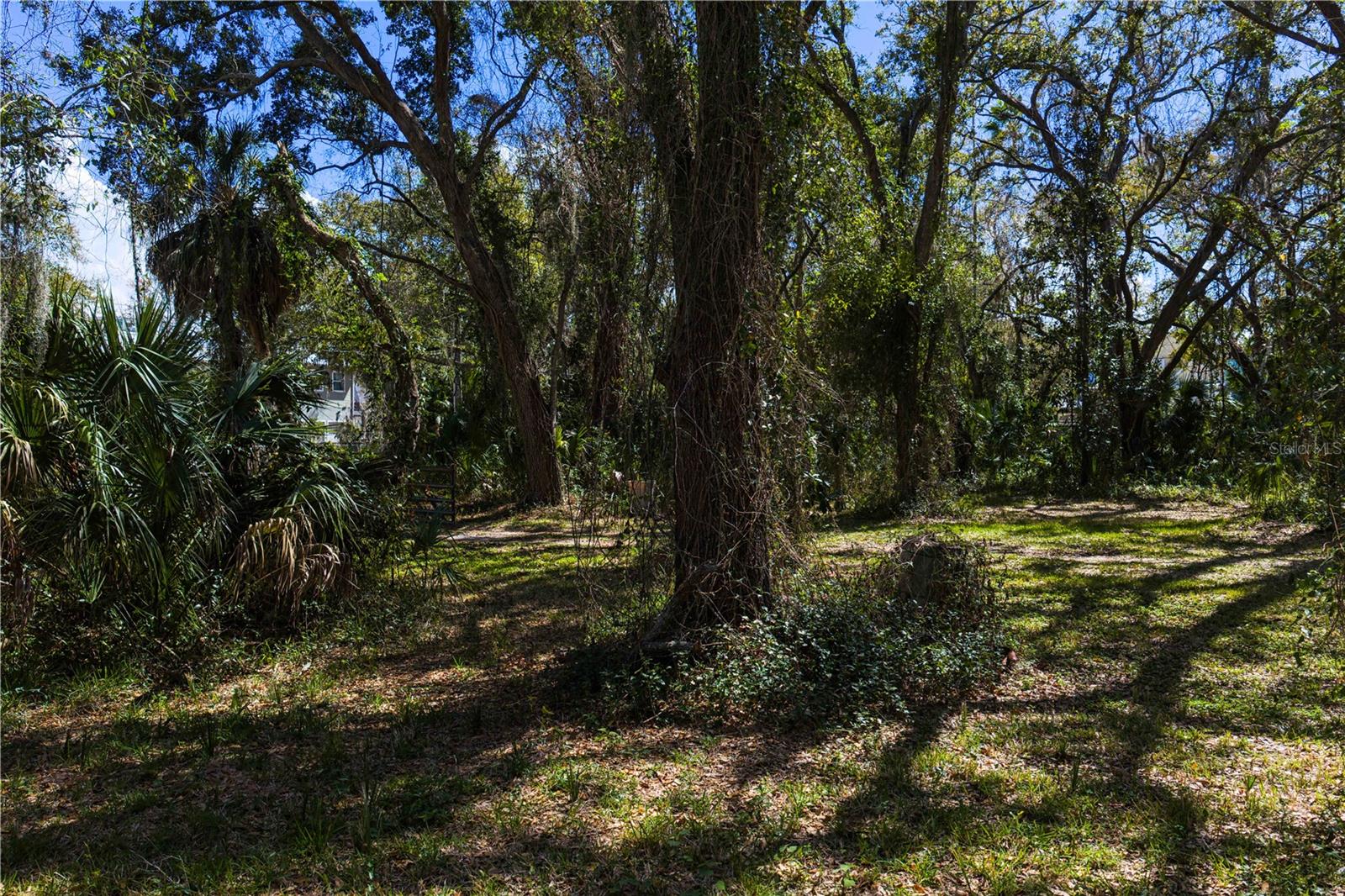 REOLDS FRM PLT 1 19 20 29 - Land