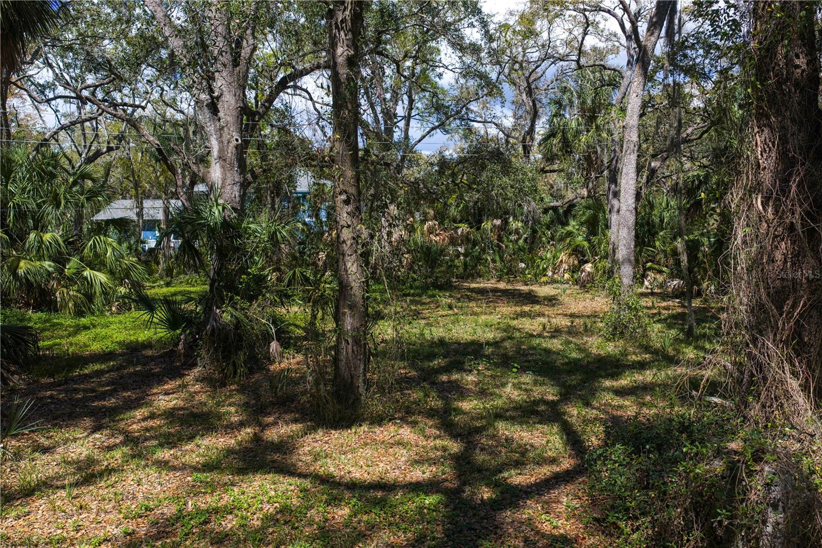 REOLDS FRM PLT 1 19 20 29 - Land