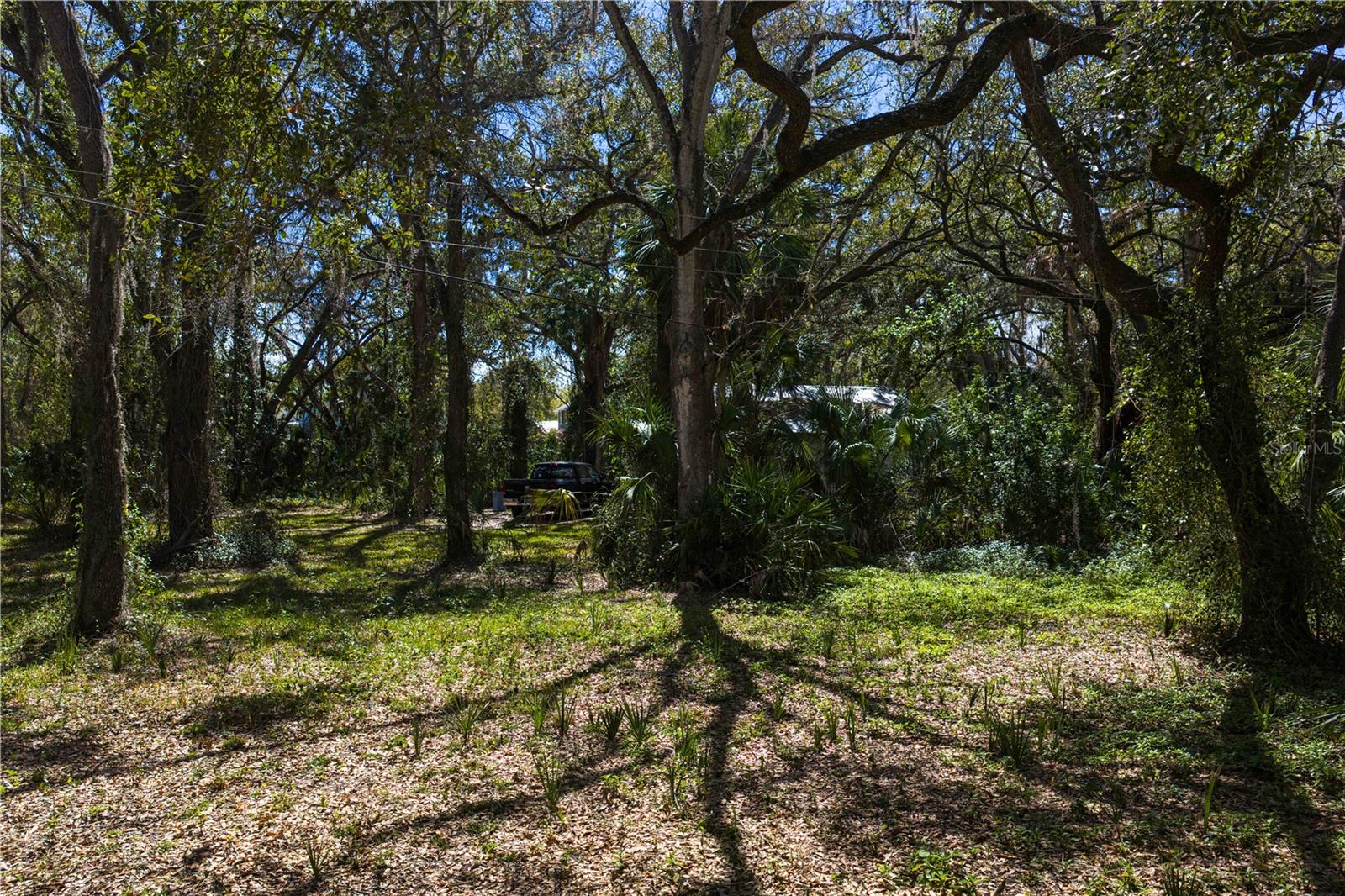 REOLDS FRM PLT 1 19 20 29 - Land