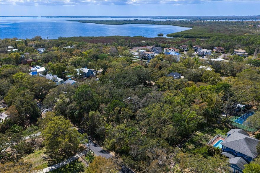 Discover a rare opportunity to build your dream estate on just over two acres in the heart of Tampa. Located at 8004 Bay Drive, this expansive vacant lot offers endless possibilities for a custom home, private retreat, or investment in one of the area's rapidly growing corridors. Tucked away for privacy yet conveniently close to shopping, dining, and major roadways, the property provides the perfect balance of tranquility and accessibility. With ample space for a luxury residence, guest house, pool, and outdoor living areas, you can design the lifestyle you’ve always envisioned. Enjoy nearby waterfront parks, boating, and all that the vibrant Tampa area has to offer while creating your own secluded oasis on this impressive homesite. Rarely do parcels of this size become available—don’t miss your chance to secure a prime piece of land in a desirable location.