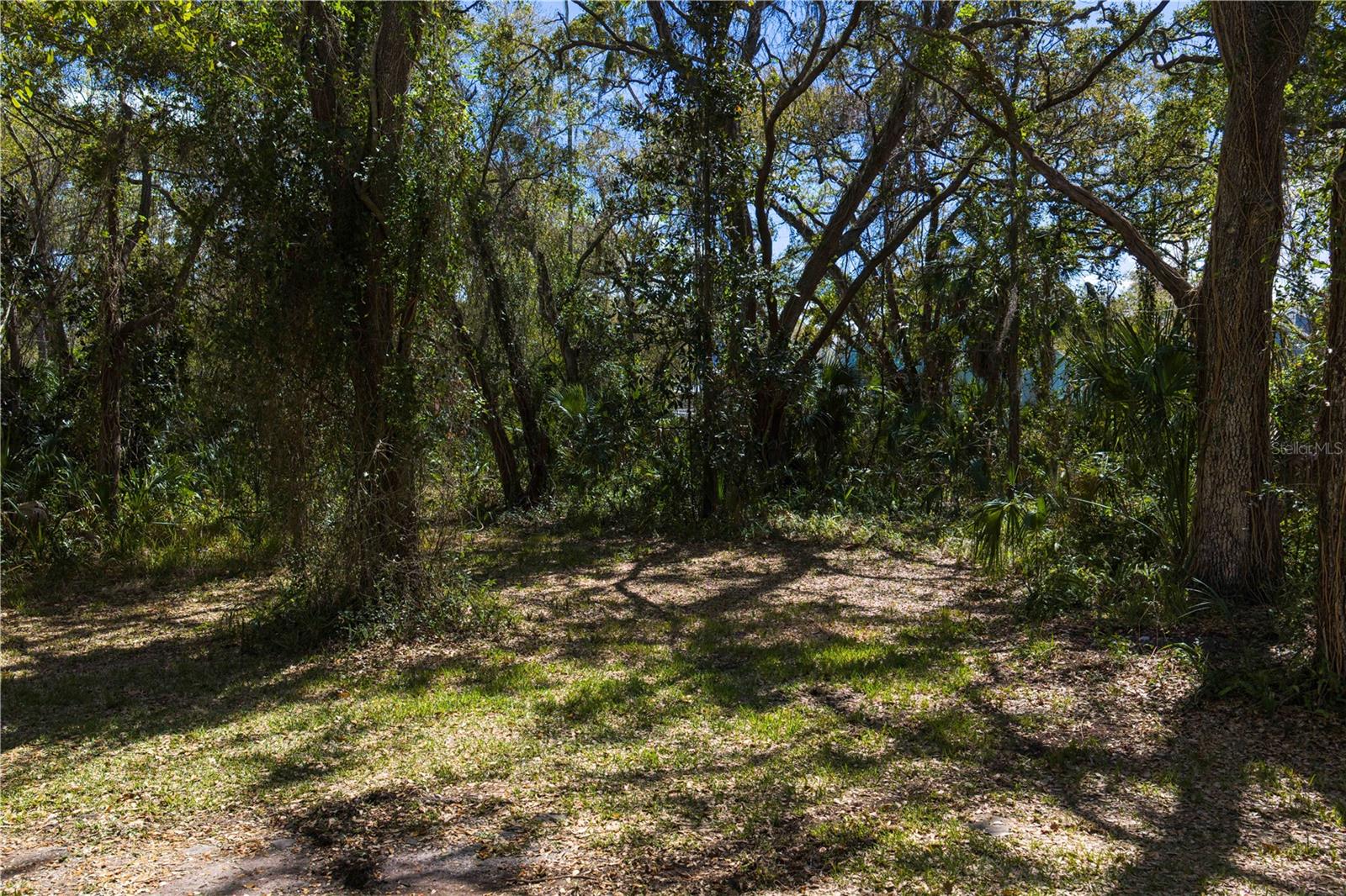 REOLDS FRM PLT 1 19 20 29 - Land