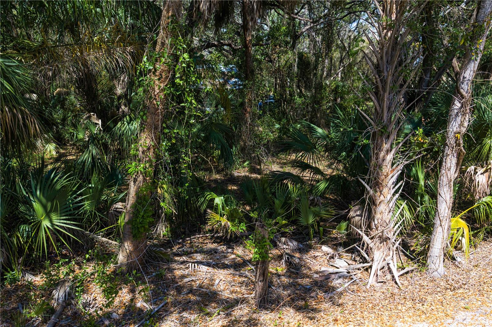 REOLDS FRM PLT 1 19 20 29 - Land