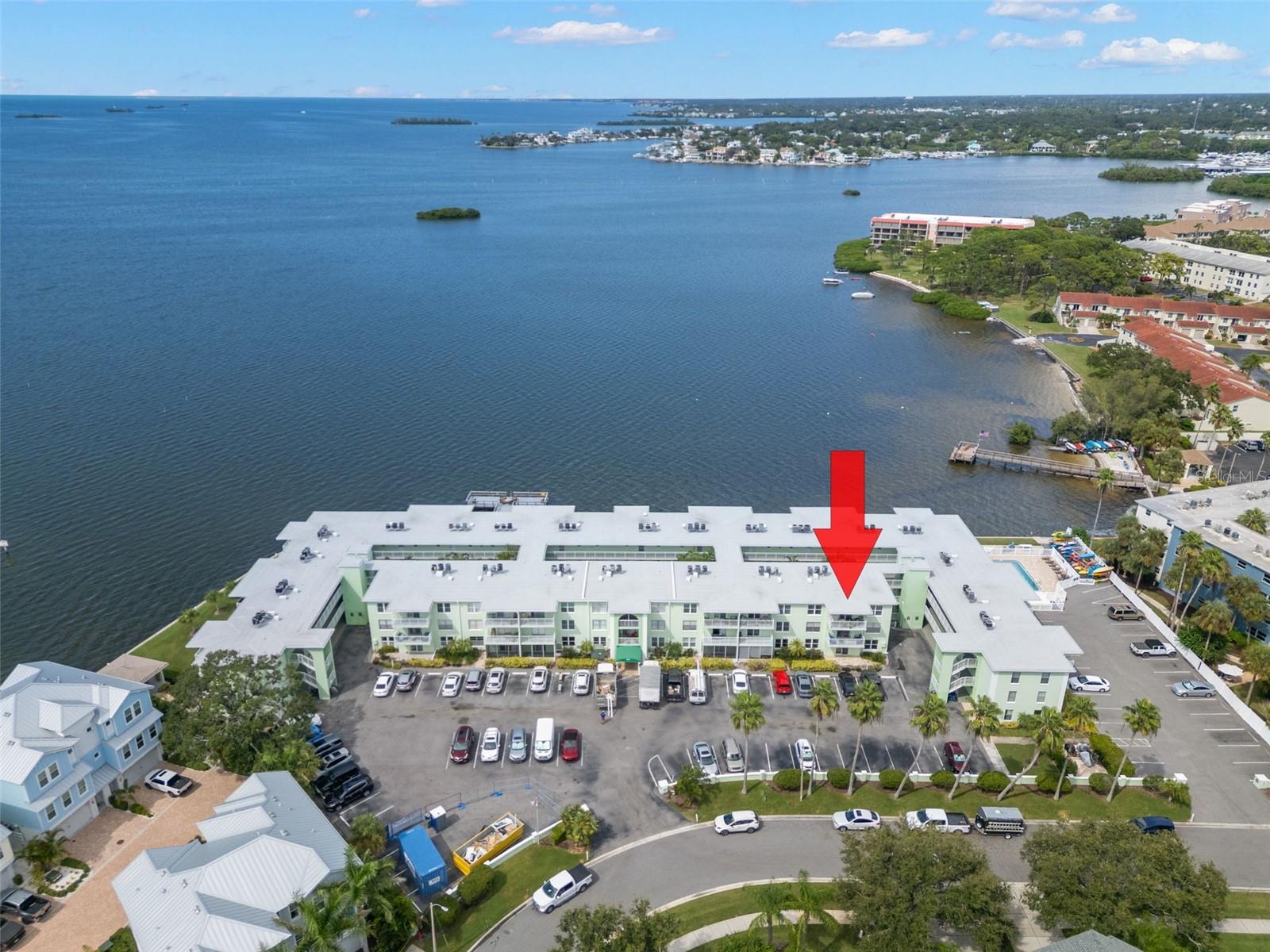 DOLPHIN POINTE OF DUNEDIN CONDO - Residential