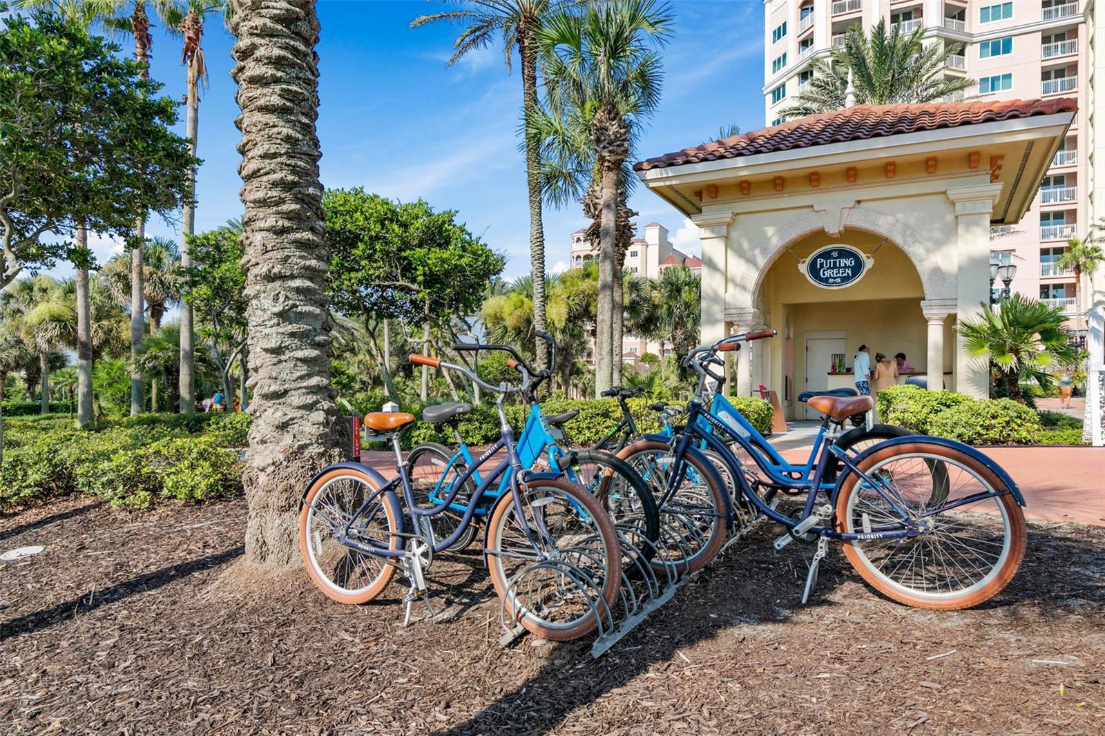 CONSERVATORY/HAMMOCK BEACH - Land