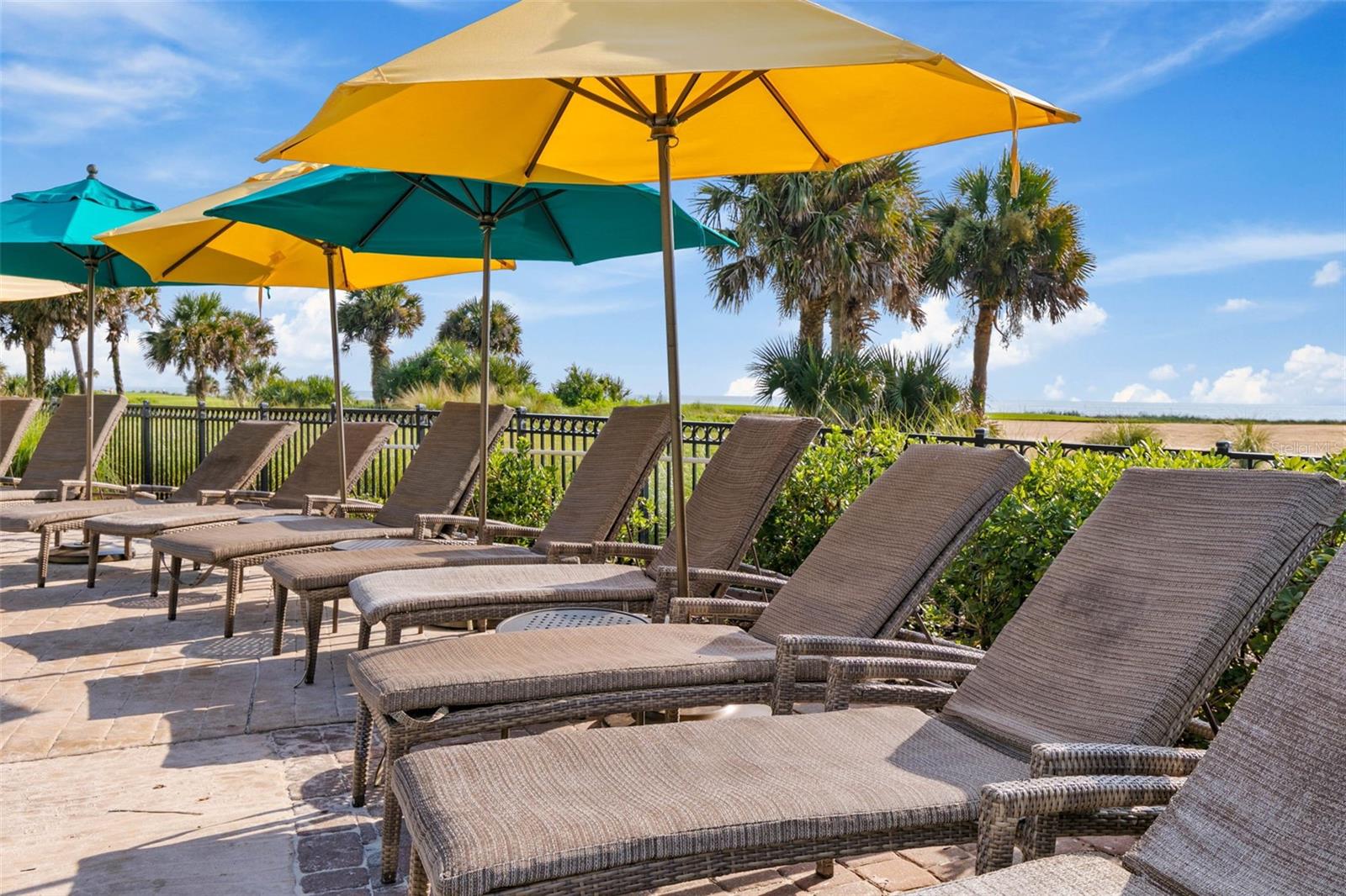 CONSERVATORY/HAMMOCK BEACH - Land