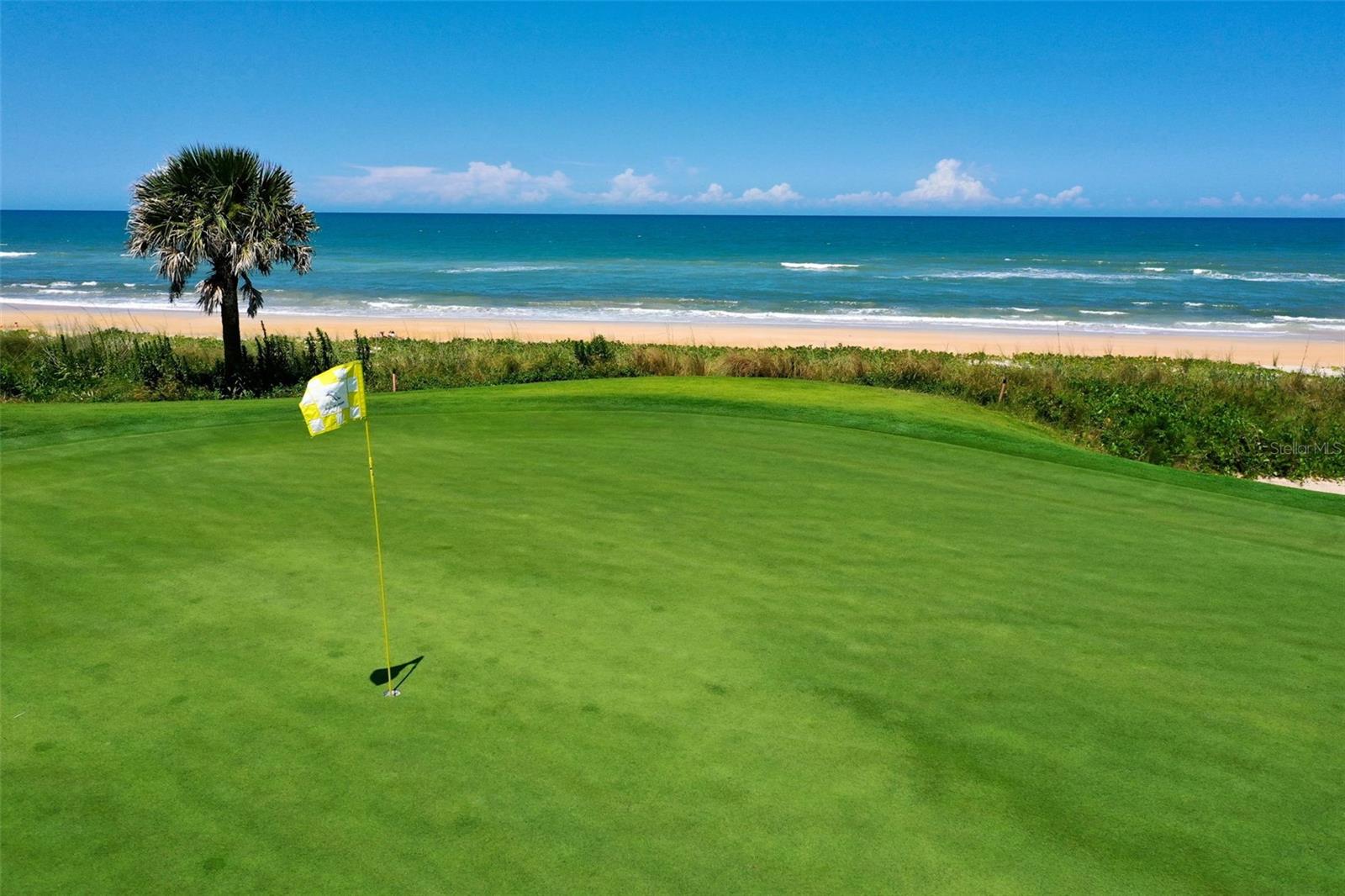 CONSERVATORY/HAMMOCK BEACH - Land