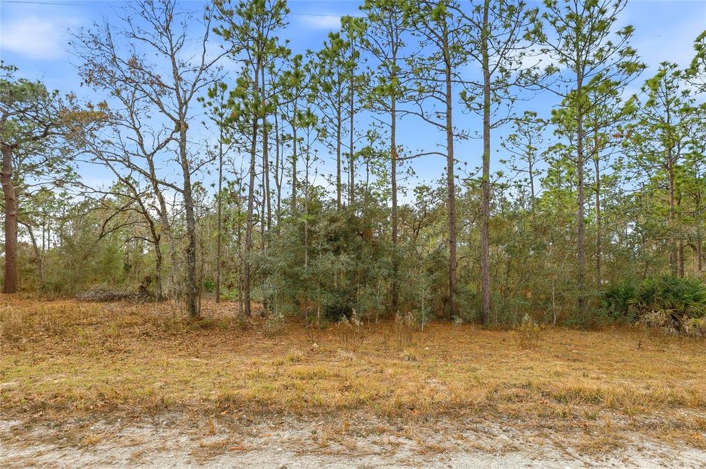 Photo of Cayman Road, Weeki Wachee, FL 34614 (MLS # W7882955)