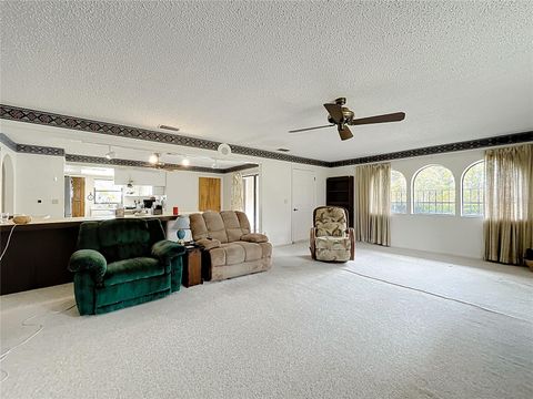 Tiny photo for 16635 County Road 450, Umatilla, FL 32784 (MLS # O6346783)