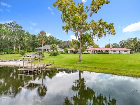 Tiny photo for 16635 County Road 450, Umatilla, FL 32784 (MLS # O6346783)