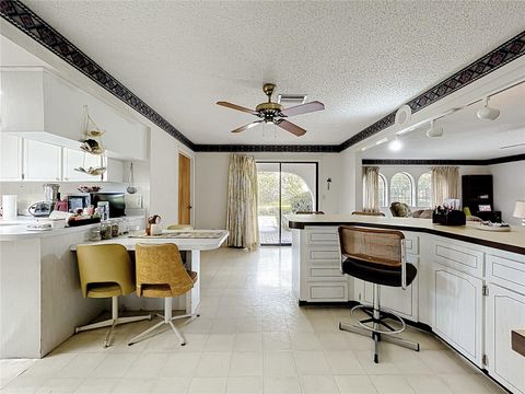 Tiny photo for 16635 County Road 450, Umatilla, FL 32784 (MLS # O6346783)