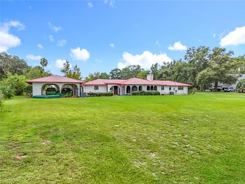 Tiny photo for 16635 County Road 450, Umatilla, FL 32784 (MLS # O6346783)