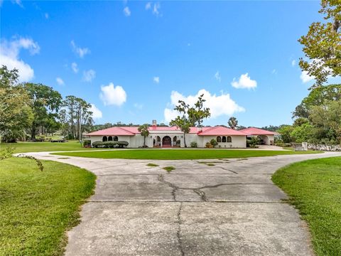 Tiny photo for 16635 County Road 450, Umatilla, FL 32784 (MLS # O6346783)