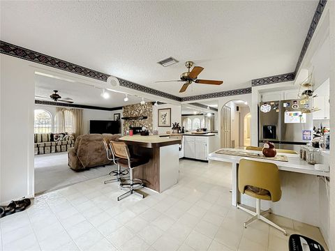 Tiny photo for 16635 County Road 450, Umatilla, FL 32784 (MLS # O6346783)