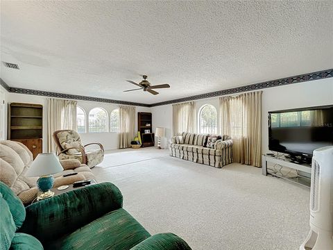 Tiny photo for 16635 County Road 450, Umatilla, FL 32784 (MLS # O6346783)