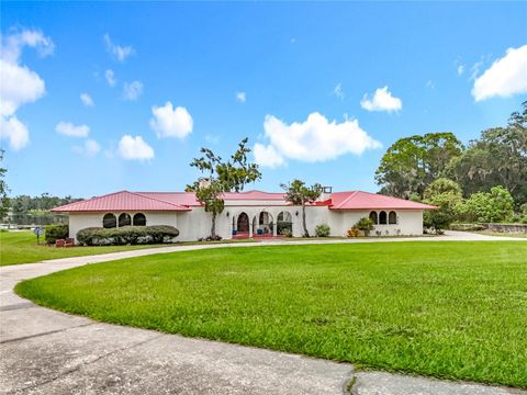 Tiny photo for 16635 County Road 450, Umatilla, FL 32784 (MLS # O6346783)
