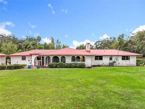 Tiny photo for 16635 County Road 450, Umatilla, FL 32784 (MLS # O6346783)