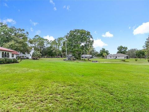Tiny photo for 16635 County Road 450, Umatilla, FL 32784 (MLS # O6346783)