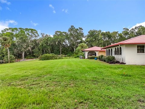 Tiny photo for 16635 County Road 450, Umatilla, FL 32784 (MLS # O6346783)