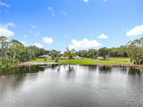 Tiny photo for 16635 County Road 450, Umatilla, FL 32784 (MLS # O6346783)