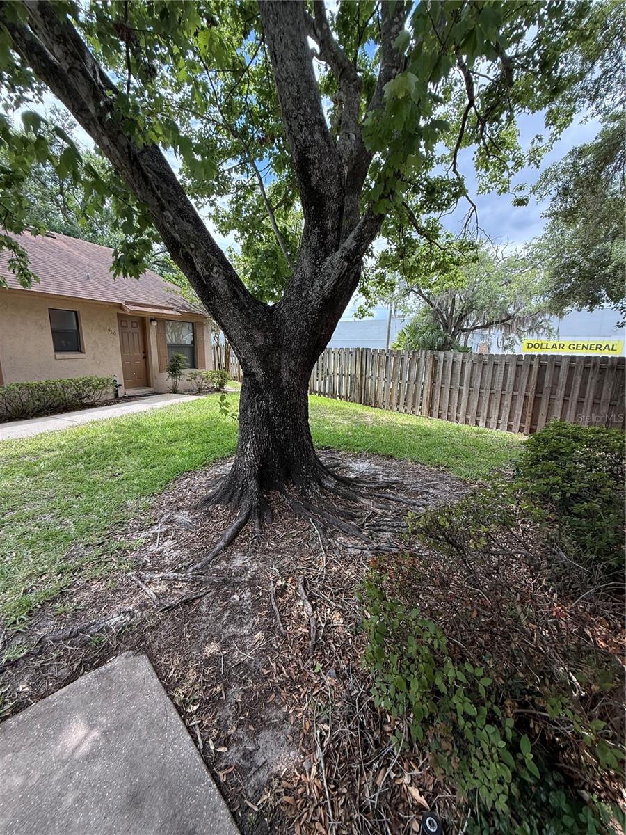 TOWNHOMES WINTER GARDEN - Residential
