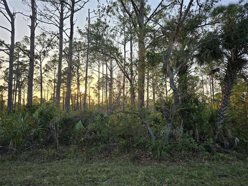 Photo of 2497 Hoover Street, Port Charlotte, FL 33953 (MLS # C7506819)