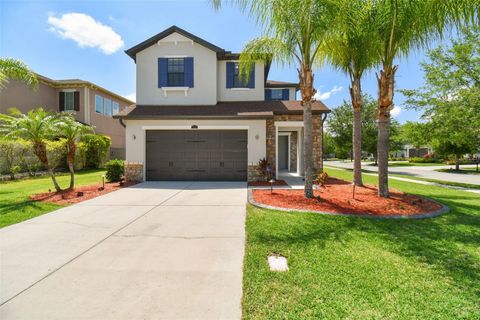 A home in WESLEY CHAPEL