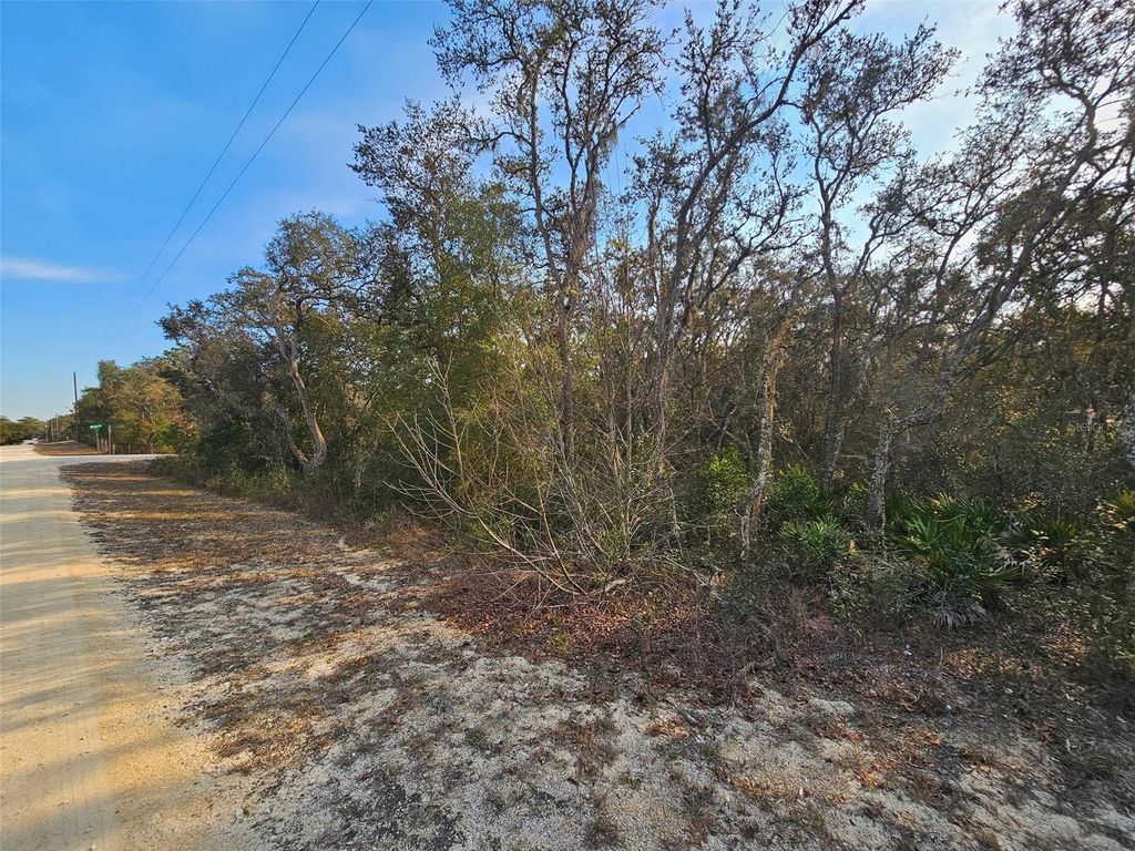 Photo of 34310 Manuel Street, Webster, FL 33597 (MLS # W7882346)