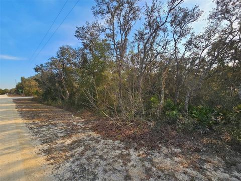 34310 MANUEL STREET WEBSTER FL 33597