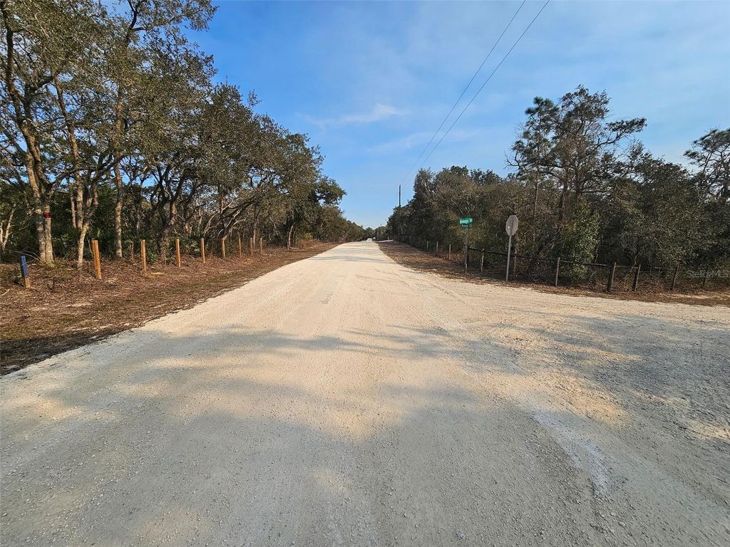 Photo of 34310 Manuel Street, Webster, FL 33597 (MLS # W7882346)