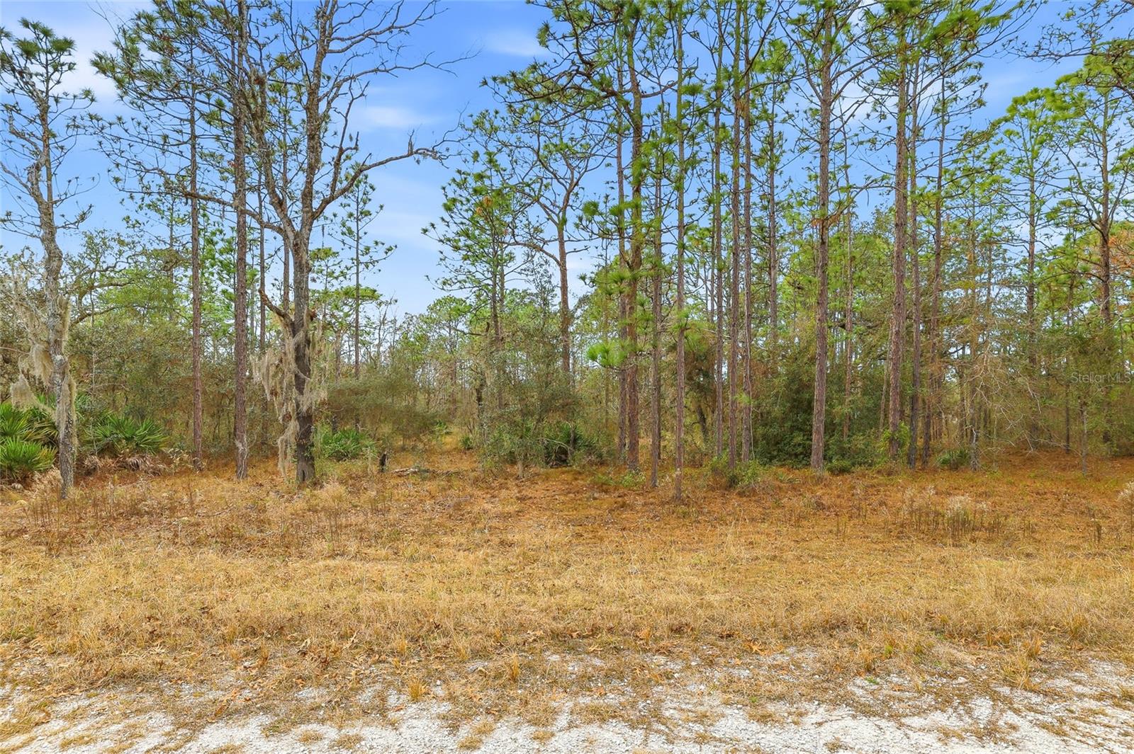 ROYAL HIGHLANDS - Land