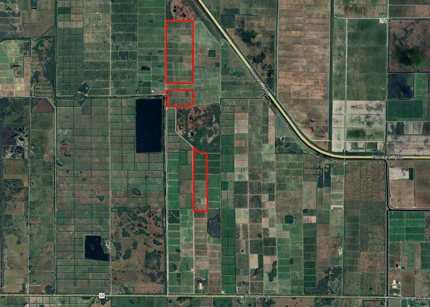 PLEASE CLICK ATTACHMENT FOR BROCHURE
$1.350,000 PRICE REDUCTION
617-acre citrus grove with 547 net tree acres consisting of 280 acres of lemons, 106 acres of Hamlin oranges, 100 acres of Valencia oranges, 22 acres of Navel oranges and 37 acres of fallow land. There are long term fruit contracts in place. It is irrigated by four diesel-powered pump stations using jet irrigation, with water sourced from canals managed by the Orange Avenue Citrus Growers Association. Annual water taxes are $66,838.