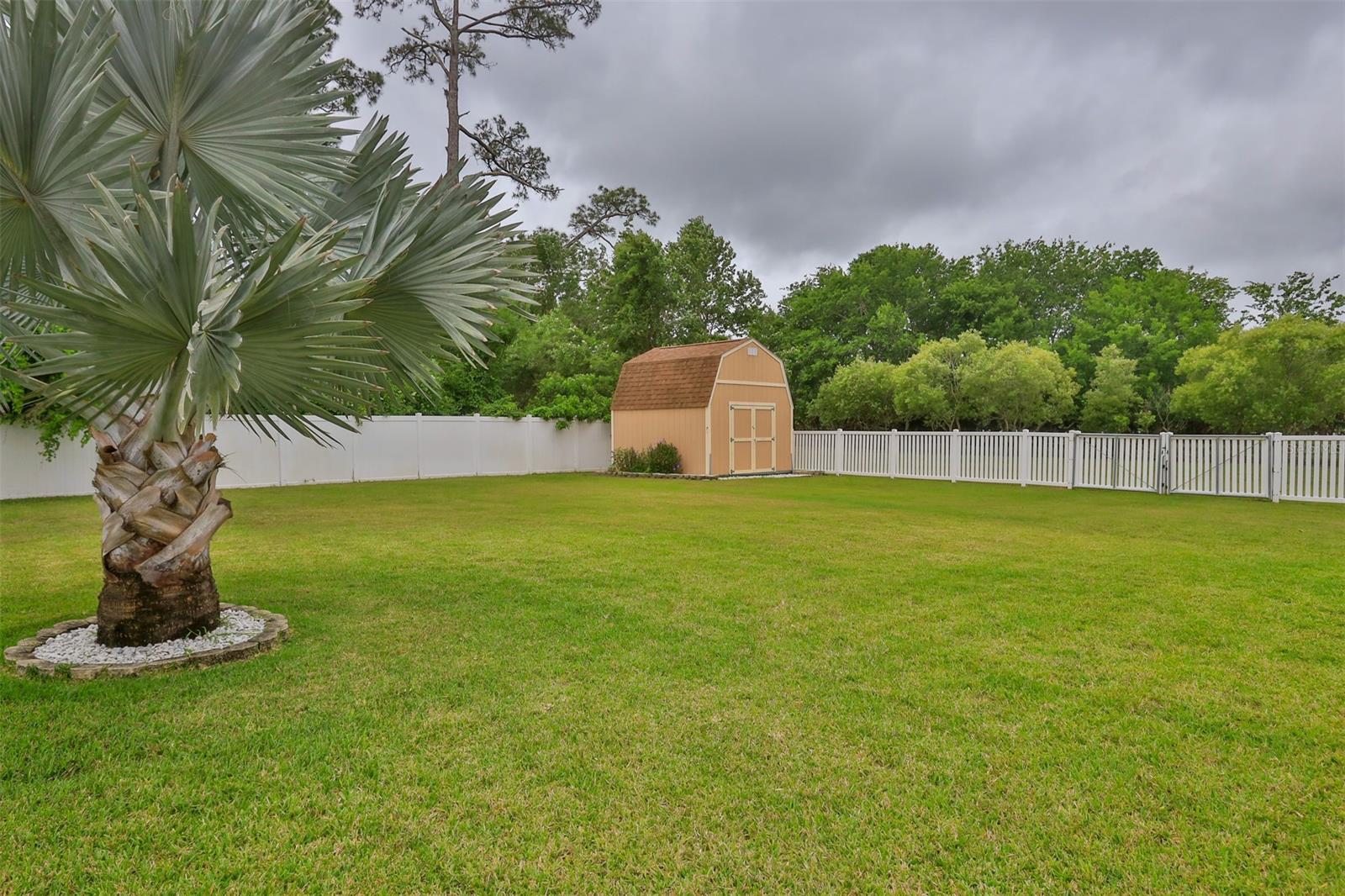 Florida Shores 01 - Residential