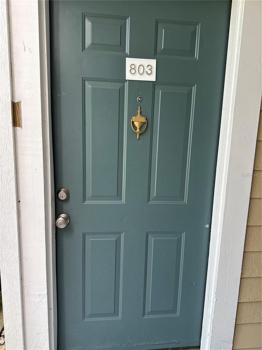 10024 STRAFFORD OAK COURT 803