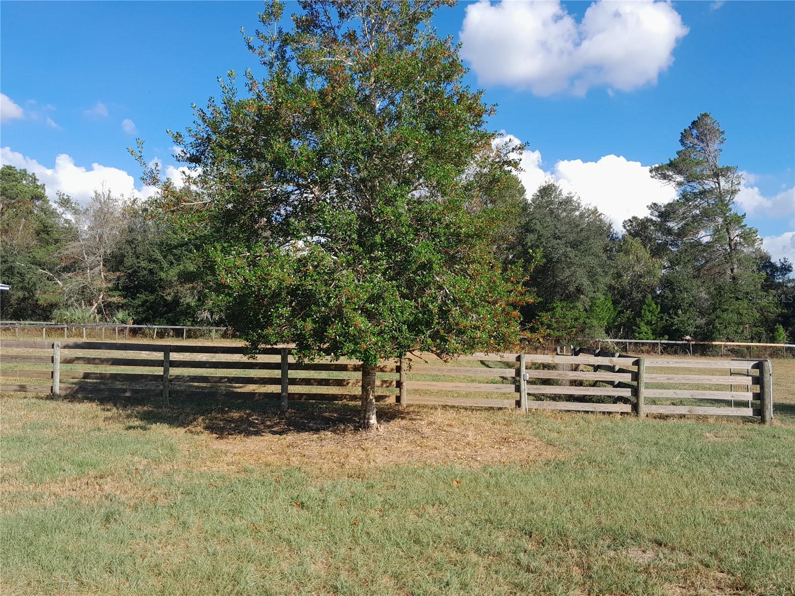 LAKE BONABLE ESTATES - Residential