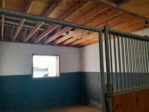 Tiny photo for 13251 SE 120th Street, Dunnellon, FL 34431 (MLS # OM713158)